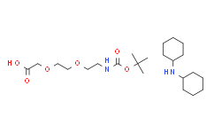 2-[2-(叔丁氧羰基氨基)乙氧基]乙氧基乙酸二环己胺盐,98%