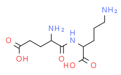 γ-Glutamylornithine