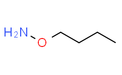O-丁基羟胺,≥95%