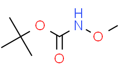 甲氧基氨基甲酸叔丁酯,≥95%