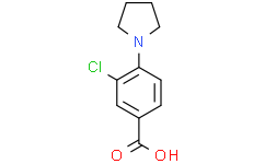 3-氯-4-(1-吡咯烷基)苯甲酸,≥97%