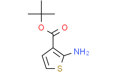 tert-butyl 2-aminothiophene-3-carboxylate