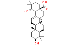 2025新老澳门原料