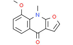 2025新老澳门原料