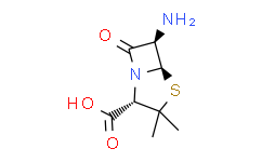 (+)-6-氨基青霉烷酸