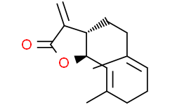 木香烃内酯