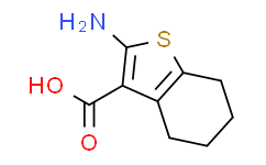 2-氨基-4，5，6，7-四氢苯并[b]噻吩-3-羧酸,98%