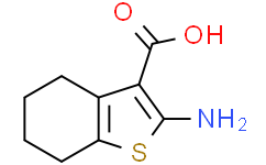 2-氨基-4，5，6，7-四氢苯并[b]噻吩-3-羧酸,98%