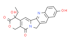 [APExBIO]10-Hydroxycamptothecin,98%