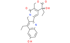 (19R)-10，19-diethyl-7，19-dihydroxy-17-oxa-3，13-diazapentacyclo[11.8.0.0²¹¹.0⁴⁹.0¹⁵²º]henicosa-1(21)，2，4，6，8，10，15(20)-heptaene-14，18-dione