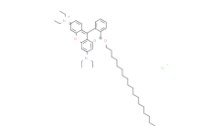 Octadecyl Rhodamine B chloride
