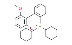 2-双环己基膦-2'，6'-二甲氧基联苯,98%