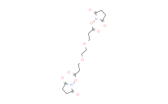 双-二聚乙二醇-酯；活性酯二聚乙二醇活性酯