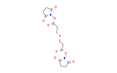双(2,5-二氧代吡咯烷-1-基) 3,3-氧基二丙酸酯；双-一聚乙二醇-酯；活性酯聚乙二醇活性酯