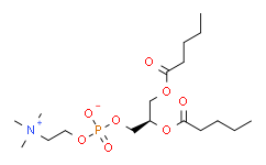 1，2-dipentanoyl-sn-glycero-3-phosphocholine,>99%