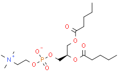 1，2-dipentanoyl-sn-glycero-3-phosphocholine