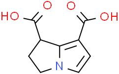 2,3-二氢-1H-吡呤-1,7-二羧酸