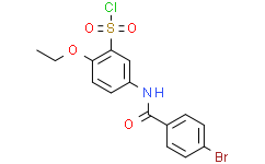 5-(4-BROMO-BENZOYLAMINO)-2-ETHOXY-BENZENESULFONYL CHLORIDE