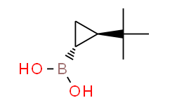 (2-(tert-butyl)cyclopropyl)boronic acid,95%