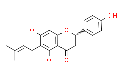 6-异戊烯基柚皮素,98%