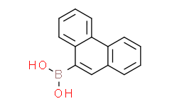 菲-9-硼酸,97%