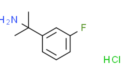 2-(3-氟苯基)丙基-2-胺盐酸盐
