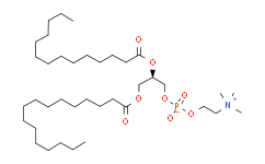 1-Palmitoyl，2-myristoyl-sn-Glycero-3–phosphocholine,>99%