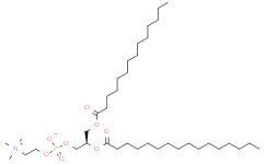1-myristoyl-2-palmitoyl-sn-glycero-3-phosphocholine