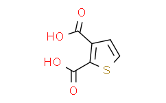 噻吩-2，3-二羧酸,≥98%