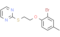 ZLN024,98%