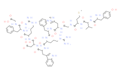 γ2-MSH(41-58)|GAMMA-MELANOCYTE STIMULATING HORMONE