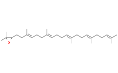 2，3环氧角鲨烯