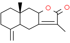 白术内酯 II