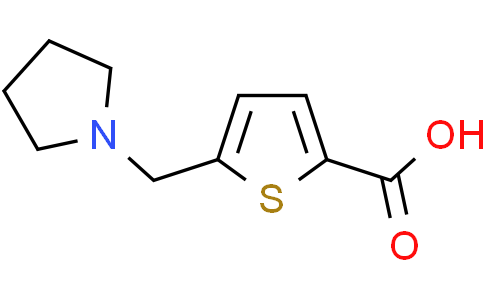 5-[(pyrrolidin-1-yl)methyl]thiophene-2-carboxylic acid