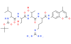 Boc-Leu-Ser-Thr-Arg-7-amido-4-methylcoumarin