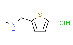 N-甲基-2-噻吩甲胺盐酸盐,≥97%
