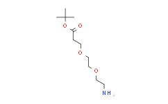 氨基-二聚乙二醇-丙酸叔丁酯,95%