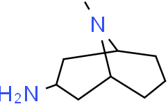 外向-3-氨基-9-甲基-9-氮杂双环[3，3，1]壬烷,≥97%