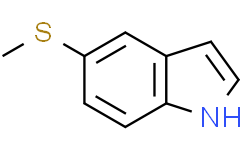 (5-甲巯基-2-硝基苯乙炔)肼酰胺