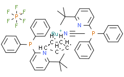 乙腈双[2-二苯基膦-6-叔丁基吡啶]环戊二烯钌六氟磷酸盐