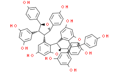2'-鼠李糖松果菊苷