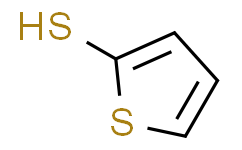 2-噻吩硫醇 ,97%
