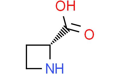 (2R)-azetidine-2-carboxylic acid