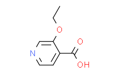 3-乙氧基异烟酸,95%