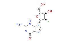 2′-Deoxy-2′-fluoroguanosine