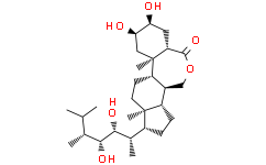 2，4-表油菜素内酯（天丰素）
