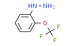 2-三氟甲氧基苯肼,95%