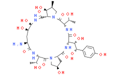 ECHINOCANDIN B