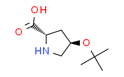 L-4-羟脯氨酸叔丁酯