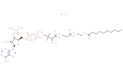 DECANOYL COENZYME A (AMMONIUM SALT);10:0 COENZYME A